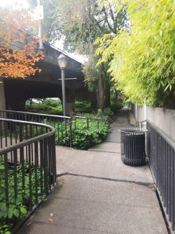 A nice crossroad in a park with lots of greenery around.